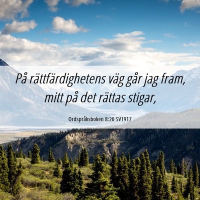 Picture 06 - Ordspråksboken 8:20 SV1917 - På rättfärdighetens väg går jag fram, mitt - Bible Verse Picture