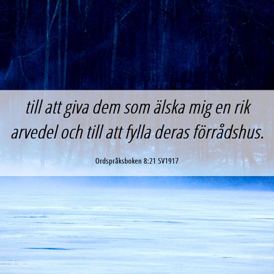 Picture 06 - Ordspråksboken 8:21 SV1917 - till att giva dem som älska mig en rik arvedel - Bible Verse Picture