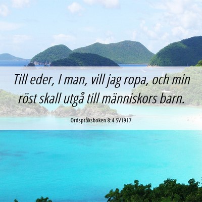 Picture 06 - Ordspråksboken 8:4 SV1917 - Till eder, I man, vill jag ropa, och min röst - Bible Verse Picture