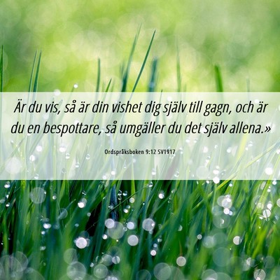 Picture 06 - Ordspråksboken 9:12 SV1917 - Är du vis, så är din vishet dig själv till - Bible Verse Picture