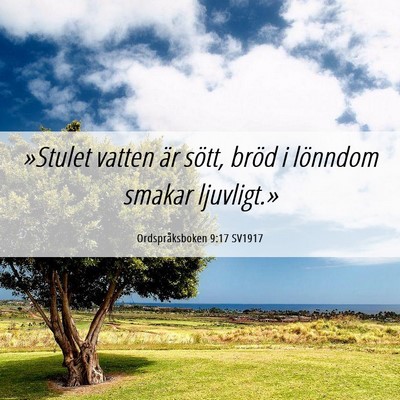 Picture 06 - Ordspråksboken 9:17 SV1917 - »Stulet vatten är sött, bröd i lönndom - Bible Verse Picture