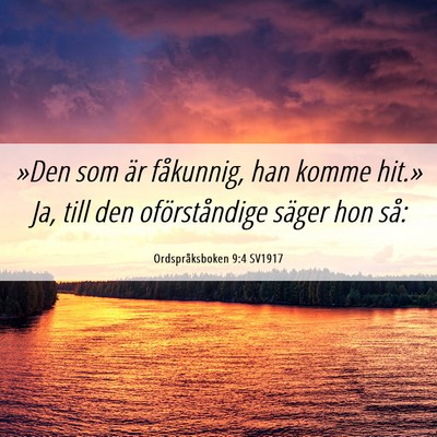 Picture 06 - Ordspråksboken 9:4 SV1917 - »Den som är fåkunnig, han komme hit.» Ja, - Bible Verse Picture