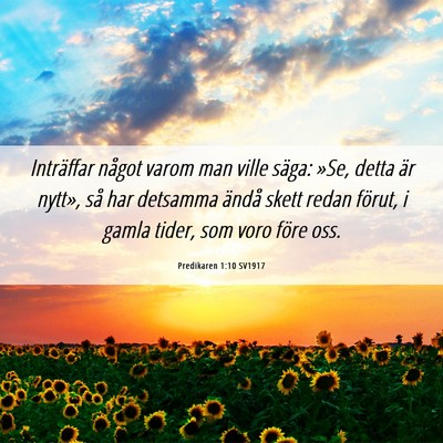 Picture 06 - Predikaren 1:10 SV1917 - Inträffar något varom man ville säga: »Se, - Bible Verse Picture
