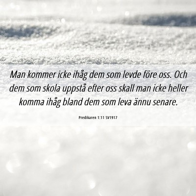 Picture 06 - Predikaren 1:11 SV1917 - Man kommer icke ihåg dem som levde före oss. - Bible Verse Picture