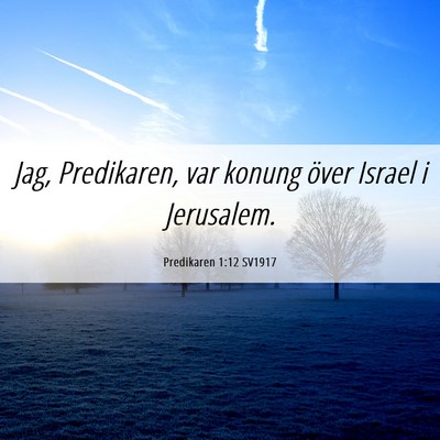 Picture 06 - Predikaren 1:12 SV1917 - Jag, Predikaren, var konung över Israel i - Bible Verse Picture