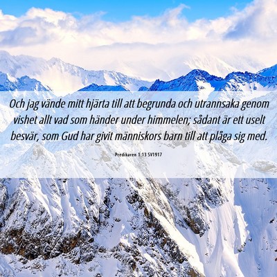 Picture 06 - Predikaren 1:13 SV1917 - Och jag vände mitt hjärta till att begrunda och - Bible Verse Picture