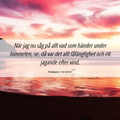 Picture 06 - Predikaren 1:14 SV1917 - När jag nu såg på allt vad som händer under - Bible Verse Picture