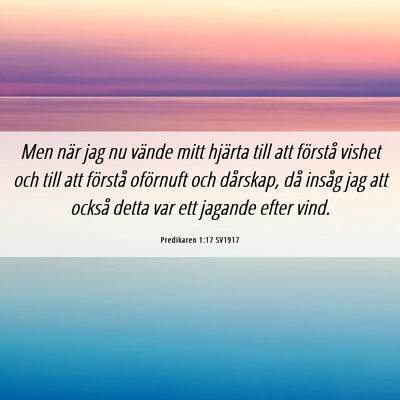 Picture 06 - Predikaren 1:17 SV1917 - Men när jag nu vände mitt hjärta till att - Bible Verse Picture