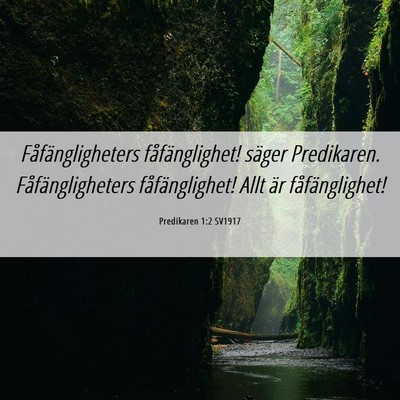 Picture 06 - Predikaren 1:2 SV1917 - Fåfängligheters fåfänglighet! säger - Bible Verse Picture