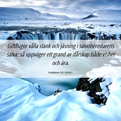 Picture 06 - Predikaren 10:1 SV1917 - Giftflugor vålla stank och jäsning i - Bible Verse Picture