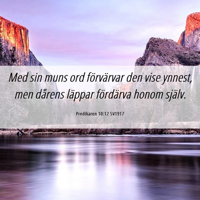 Picture 06 - Predikaren 10:12 SV1917 - Med sin muns ord förvärvar den vise ynnest, men - Bible Verse Picture