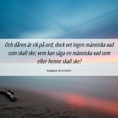 Picture 06 - Predikaren 10:14 SV1917 - Och dåren är rik på ord; dock vet ingen - Bible Verse Picture