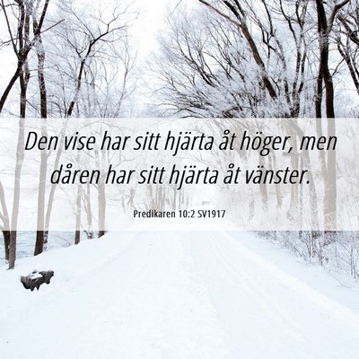 Picture 06 - Predikaren 10:2 SV1917 - Den vise har sitt hjärta åt höger, men dåren - Bible Verse Picture