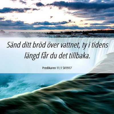 Picture 06 - Predikaren 11:1 SV1917 - Sänd ditt bröd över vattnet, ty i tidens - Bible Verse Picture