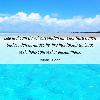Picture 06 - Predikaren 11:5 SV1917 - Lika litet som du vet vart vinden far, eller huru - Bible Verse Picture