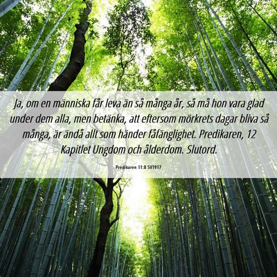 Picture 06 - Predikaren 11:8 SV1917 - Ja, om en människa får leva än så många år, - Bible Verse Picture