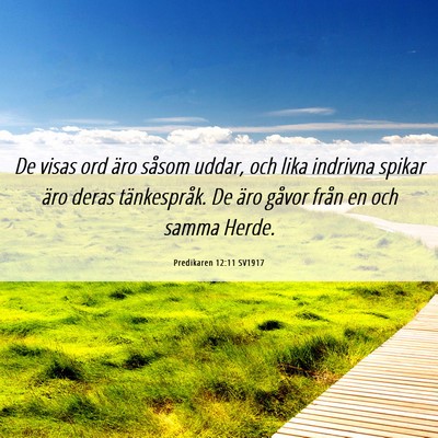 Picture 06 - Predikaren 12:11 SV1917 - De visas ord äro såsom uddar, och lika indrivna - Bible Verse Picture