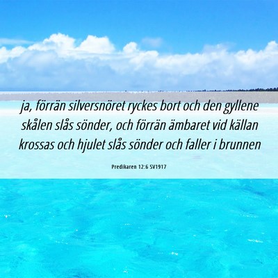 Picture 06 - Predikaren 12:6 SV1917 - ja, förrän silversnöret ryckes bort och den - Bible Verse Picture