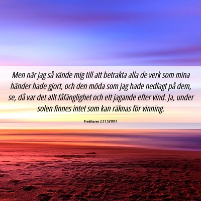 Picture 06 - Predikaren 2:11 SV1917 - Men när jag så vände mig till att betrakta - Bible Verse Picture