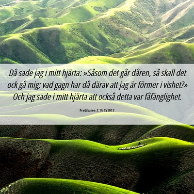 Picture 06 - Predikaren 2:15 SV1917 - Då sade jag i mitt hjärta: »Såsom det går - Bible Verse Picture