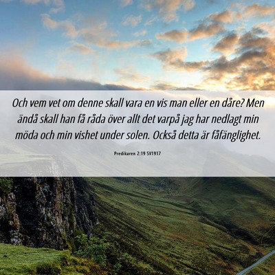 Picture 06 - Predikaren 2:19 SV1917 - Och vem vet om denne skall vara en vis man eller - Bible Verse Picture