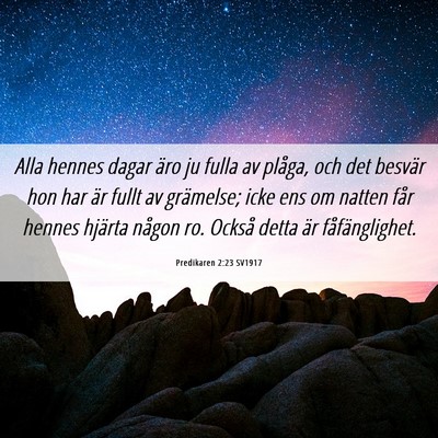 Picture 06 - Predikaren 2:23 SV1917 - Alla hennes dagar äro ju fulla av plåga, och - Bible Verse Picture
