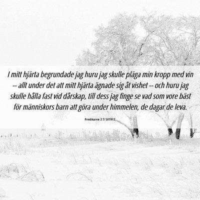 Picture 06 - Predikaren 2:3 SV1917 - I mitt hjärta begrundade jag huru jag skulle - Bible Verse Picture