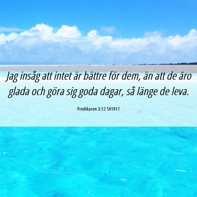 Picture 06 - Predikaren 3:12 SV1917 - Jag insåg att intet är bättre för dem, än - Bible Verse Picture