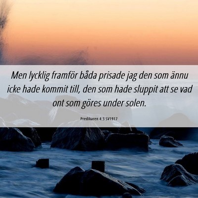 Picture 06 - Predikaren 4:3 SV1917 - Men lycklig framför båda prisade jag den som - Bible Verse Picture