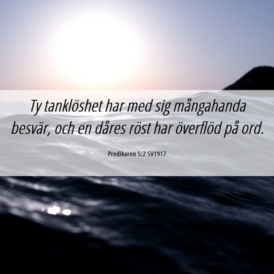 Picture 06 - Predikaren 5:2 SV1917 - Ty tanklöshet har med sig mångahanda besvär, - Bible Verse Picture