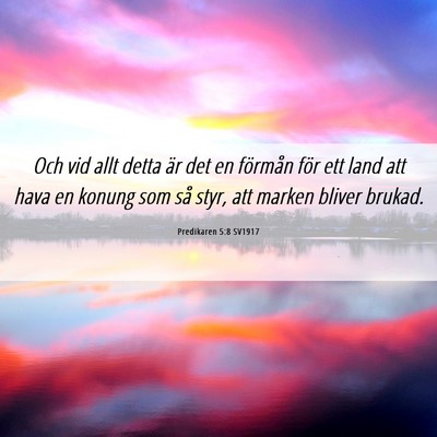 Picture 06 - Predikaren 5:8 SV1917 - Och vid allt detta är det en förmån för ett - Bible Verse Picture