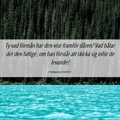 Picture 06 - Predikaren 6:8 SV1917 - Ty vad förmån har den vise framför dåren? Vad - Bible Verse Picture