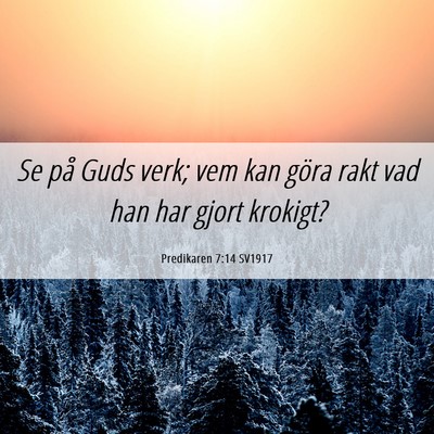 Picture 06 - Predikaren 7:14 SV1917 - Se på Guds verk; vem kan göra rakt vad han har - Bible Verse Picture