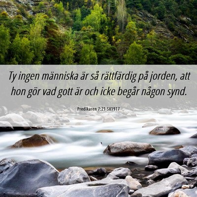 Picture 06 - Predikaren 7:21 SV1917 - Ty ingen människa är så rättfärdig på - Bible Verse Picture