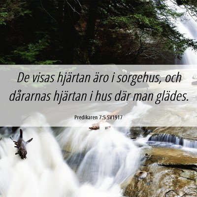 Picture 06 - Predikaren 7:5 SV1917 - De visas hjärtan äro i sorgehus, och dårarnas - Bible Verse Picture