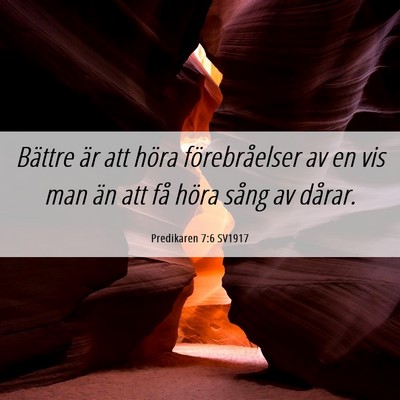 Picture 06 - Predikaren 7:6 SV1917 - Bättre är att höra förebråelser av en vis - Bible Verse Picture