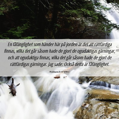 Picture 06 - Predikaren 8:14 SV1917 - En fåfänglighet som händer här på jorden är - Bible Verse Picture