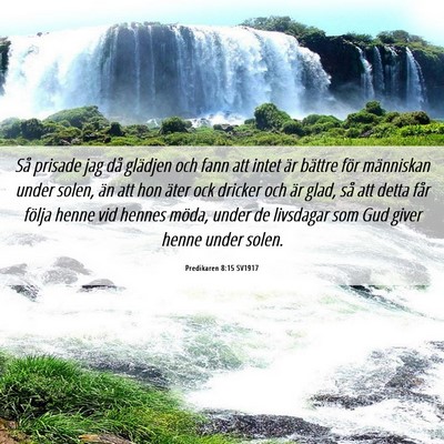 Picture 06 - Predikaren 8:15 SV1917 - Så prisade jag då glädjen och fann att intet - Bible Verse Picture