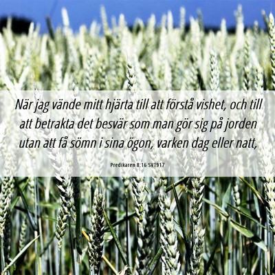 Picture 06 - Predikaren 8:16 SV1917 - När jag vände mitt hjärta till att förstå - Bible Verse Picture