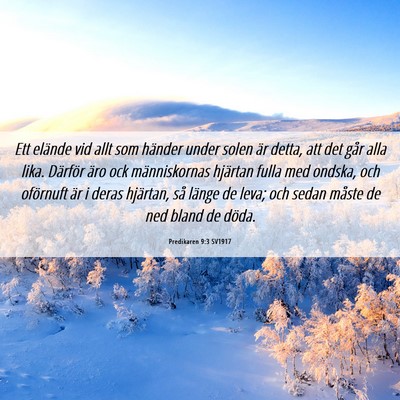 Picture 06 - Predikaren 9:3 SV1917 - Ett elände vid allt som händer under solen är - Bible Verse Picture