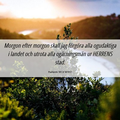 Picture 06 - Psaltaren 101:8 SV1917 - Morgon efter morgon skall jag förgöra alla - Bible Verse Picture