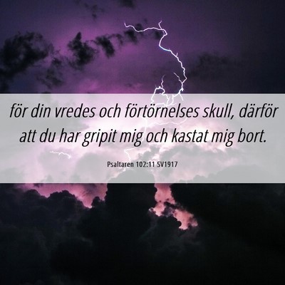 Picture 06 - Psaltaren 102:11 SV1917 - för din vredes och förtörnelses skull, - Bible Verse Picture