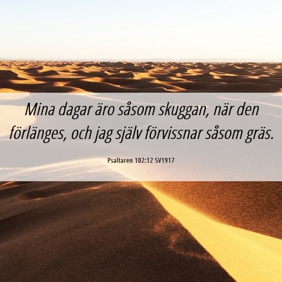 Picture 06 - Psaltaren 102:12 SV1917 - Mina dagar äro såsom skuggan, när den - Bible Verse Picture