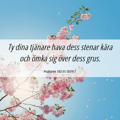 Picture 06 - Psaltaren 102:15 SV1917 - Ty dina tjänare hava dess stenar kära och ömka - Bible Verse Picture