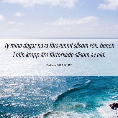 Picture 06 - Psaltaren 102:4 SV1917 - Ty mina dagar hava försvunnit såsom rök, benen - Bible Verse Picture