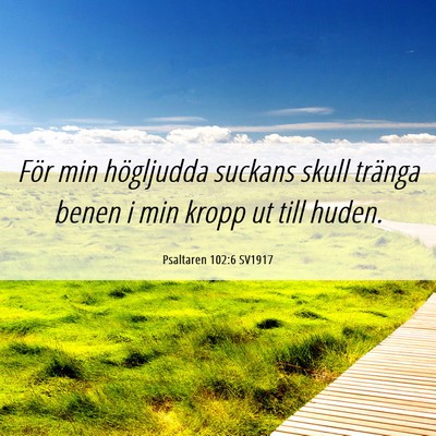 Picture 06 - Psaltaren 102:6 SV1917 - För min högljudda suckans skull tränga benen i - Bible Verse Picture