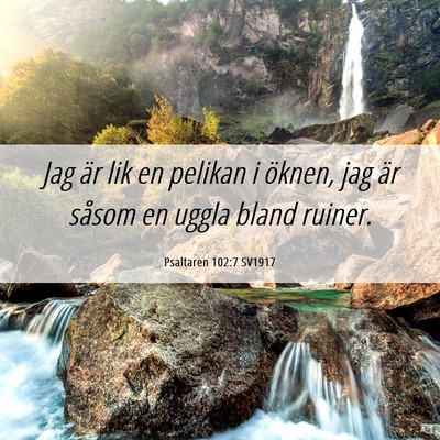 Picture 06 - Psaltaren 102:7 SV1917 - Jag är lik en pelikan i öknen, jag är såsom - Bible Verse Picture