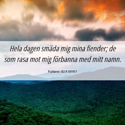 Picture 06 - Psaltaren 102:9 SV1917 - Hela dagen smäda mig mina fiender; de som rasa - Bible Verse Picture