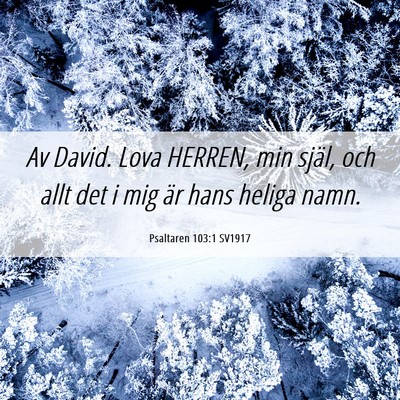 Picture 06 - Psaltaren 103:1 SV1917 - Av David. Lova HERREN, min själ, och allt det i - Bible Verse Picture