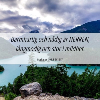 Picture 06 - Psaltaren 103:8 SV1917 - Barmhärtig och nådig är HERREN, långmodig och - Bible Verse Picture